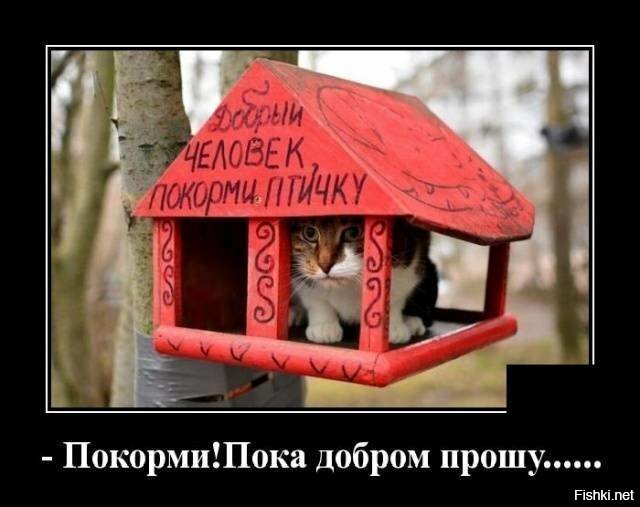 Мир не без добрых людей