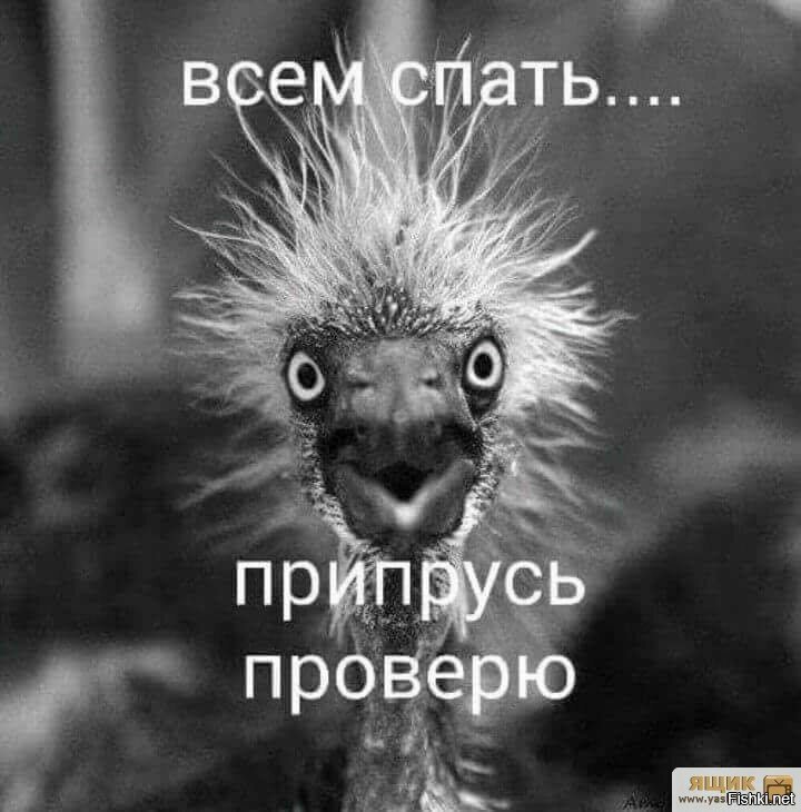 Всё