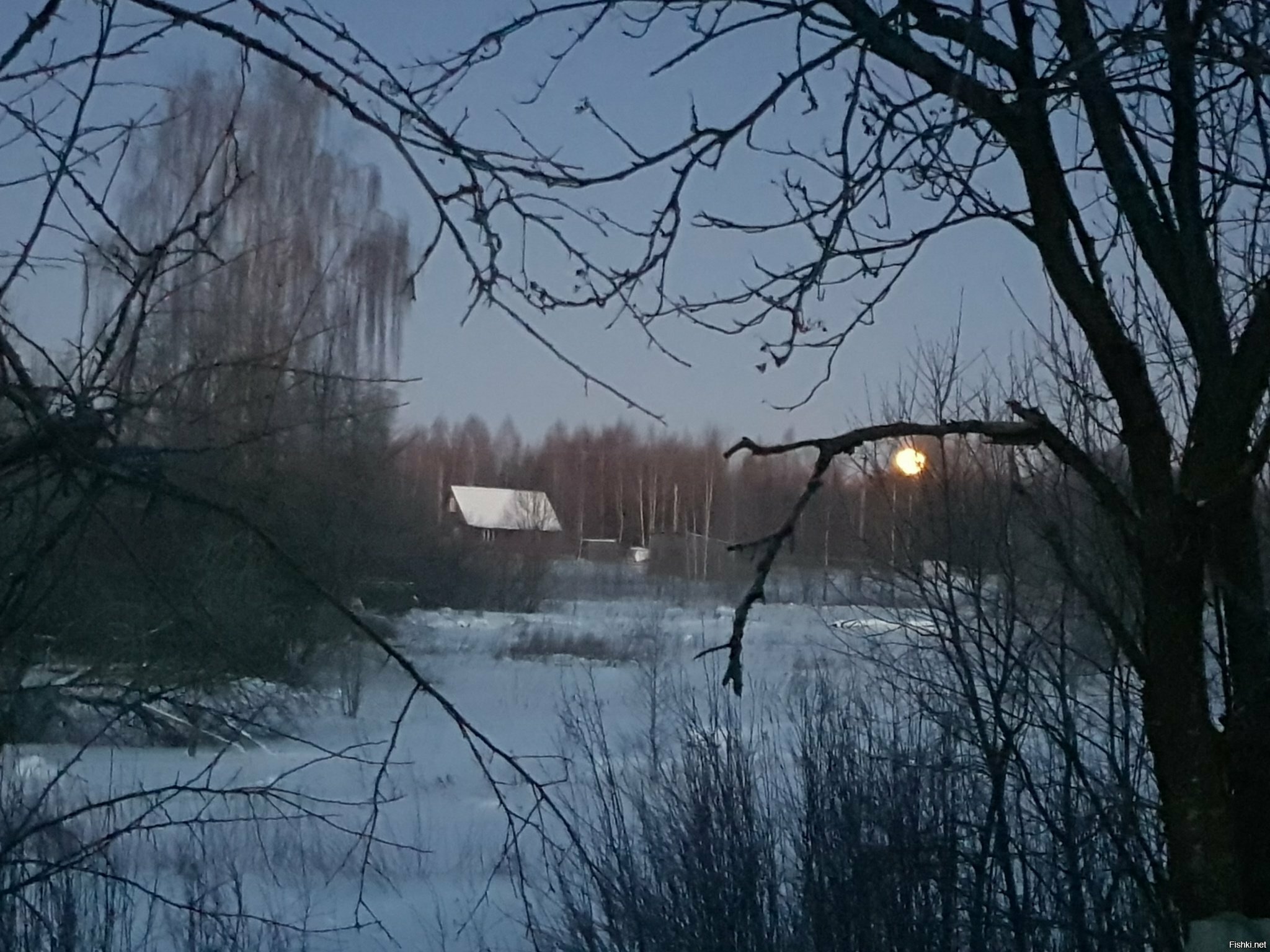 Доброго