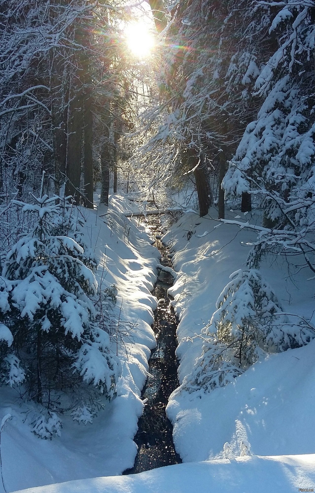 Солянка