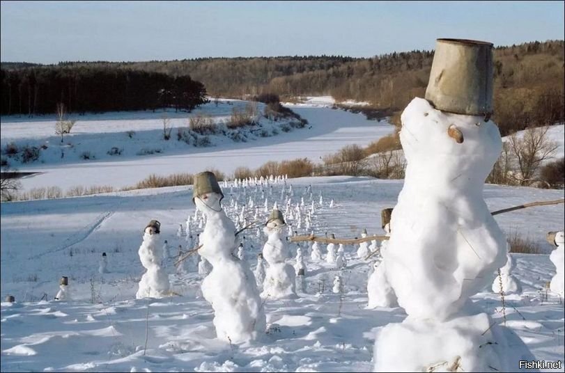 Солянка
