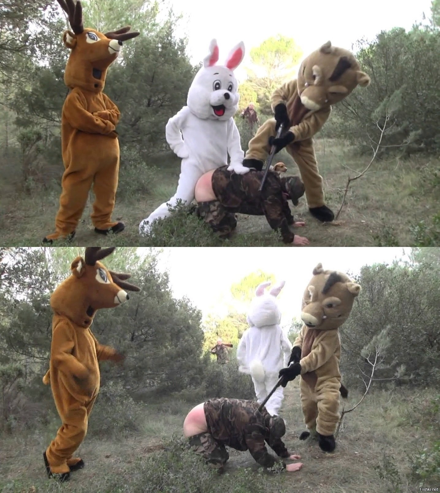 Солянка