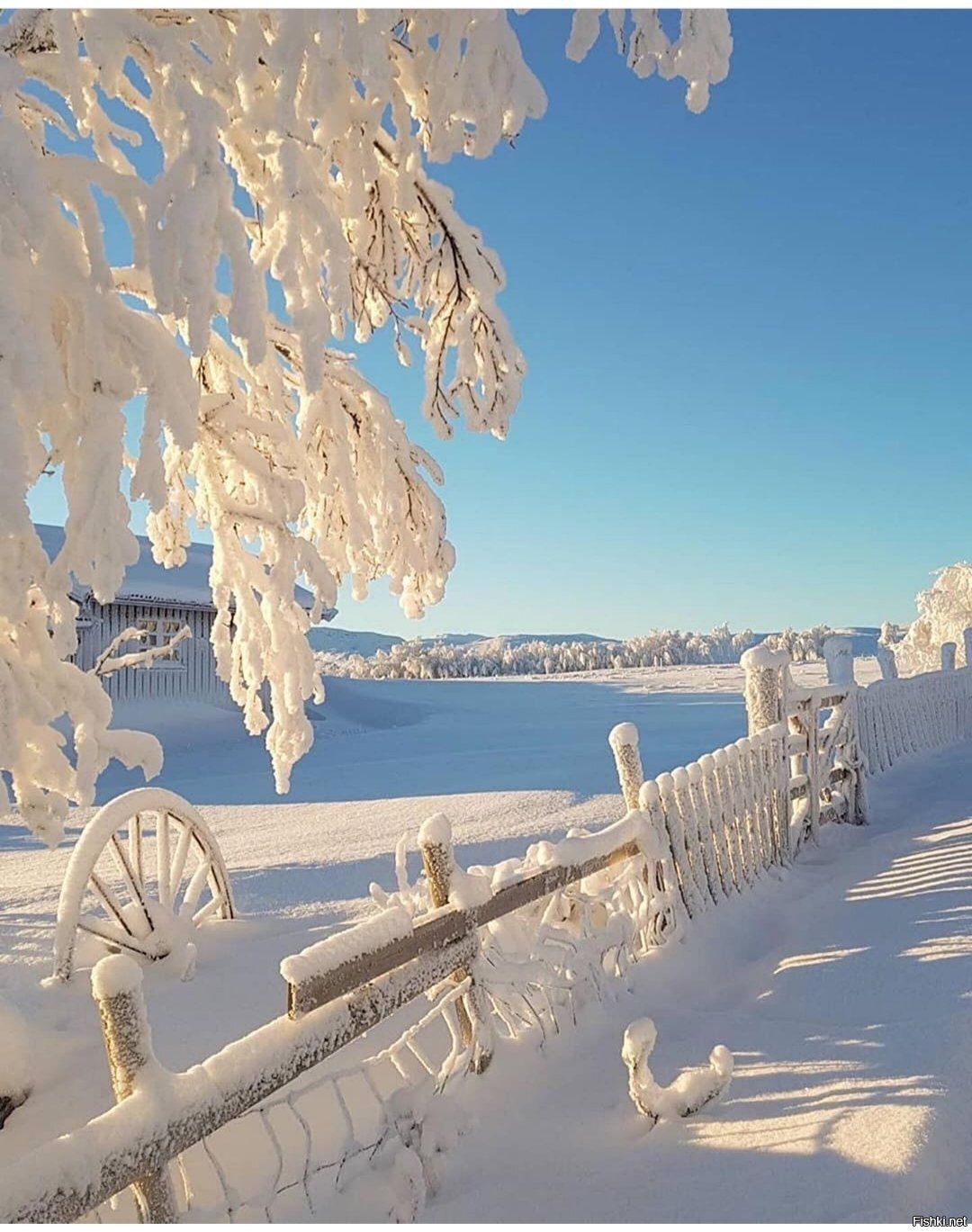 Солянка