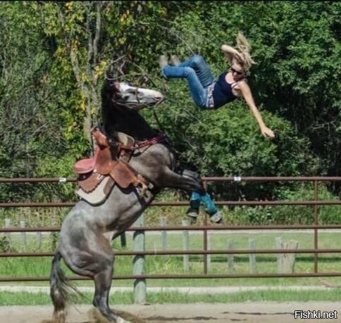К заглавной