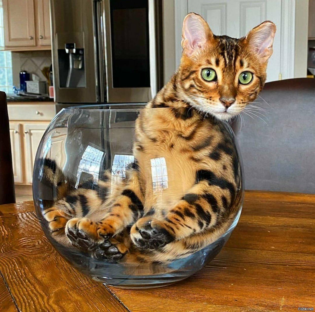 Солянка