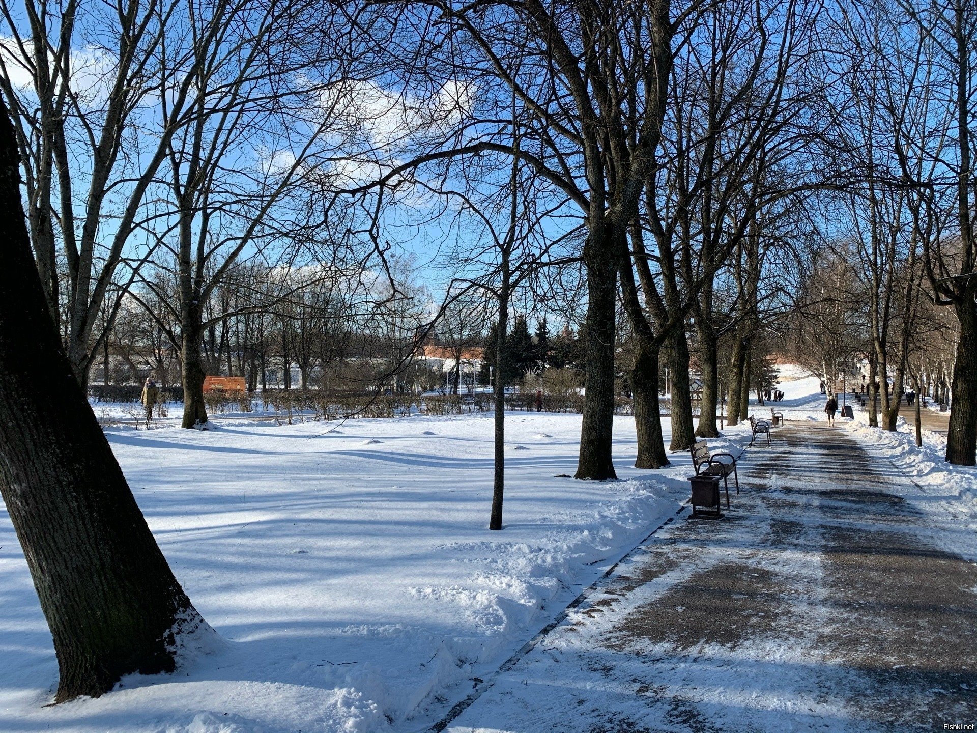 В этом году зима в Великом Новгороде очень теплая