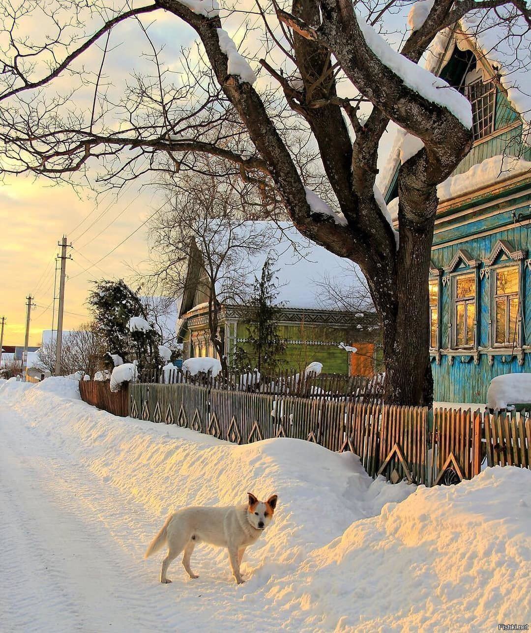Солянка