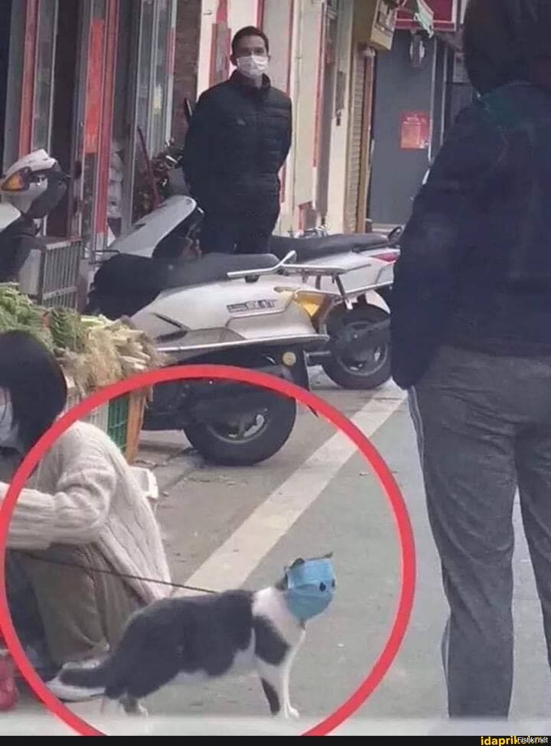 Солянка