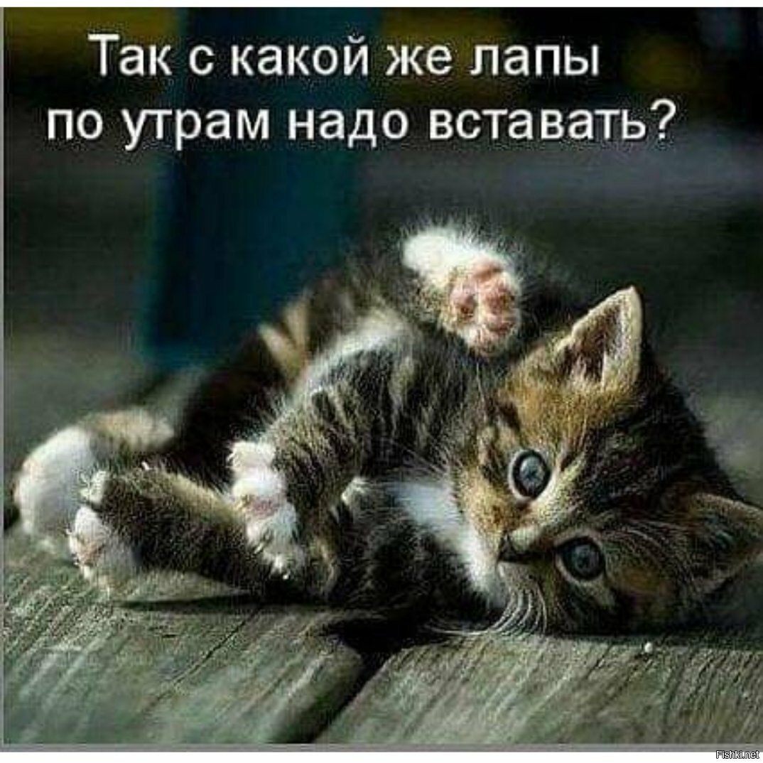 Доброе утро
