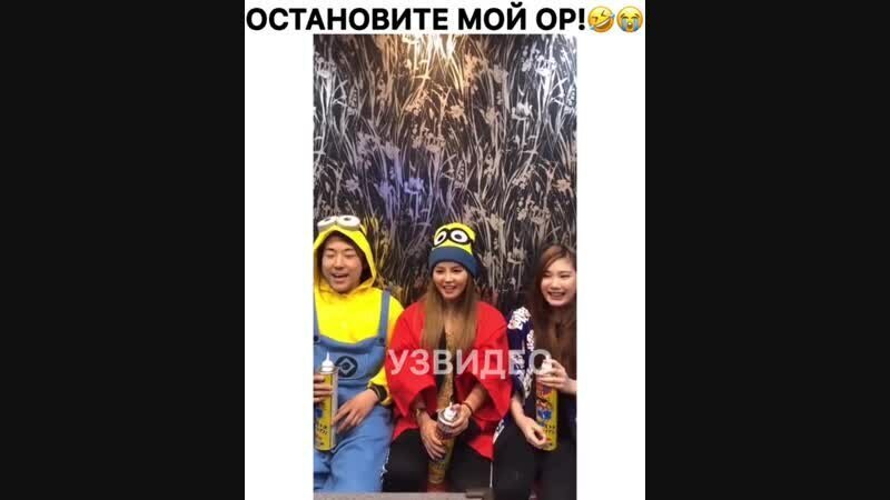 Солянка