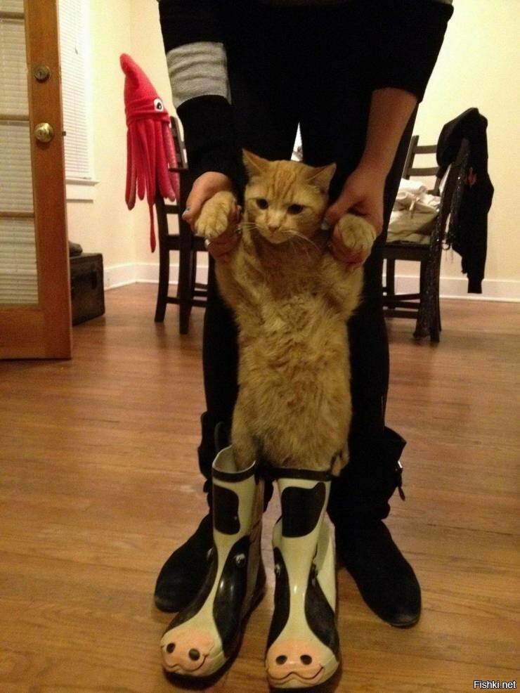 Кот в сапогах