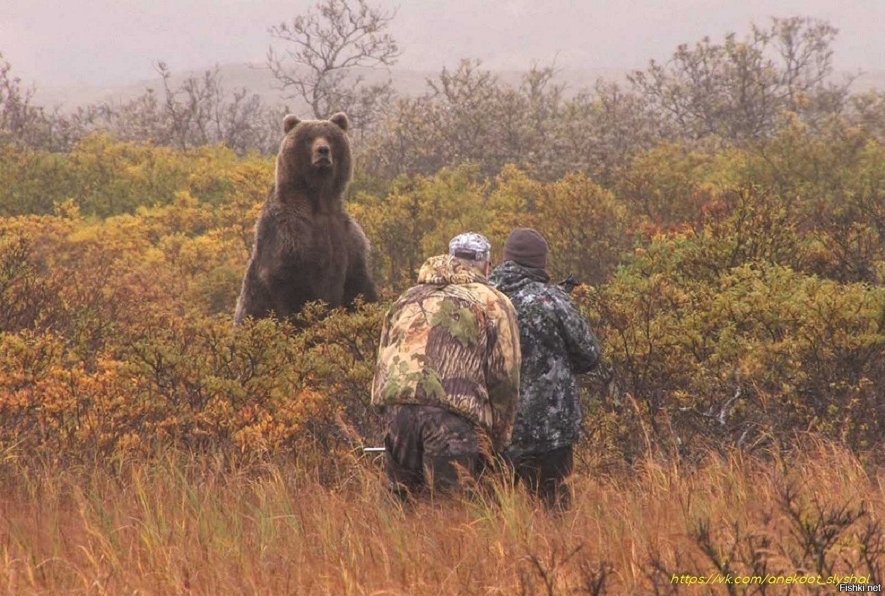 - Мужики, хотите берлогу покажу