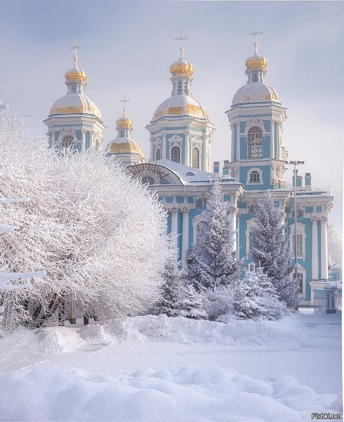 Солянка
