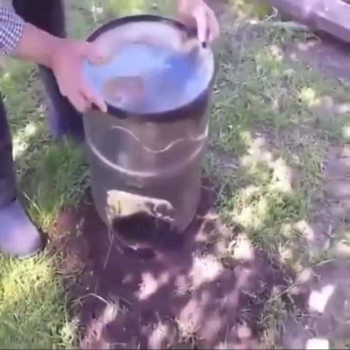 Солянка