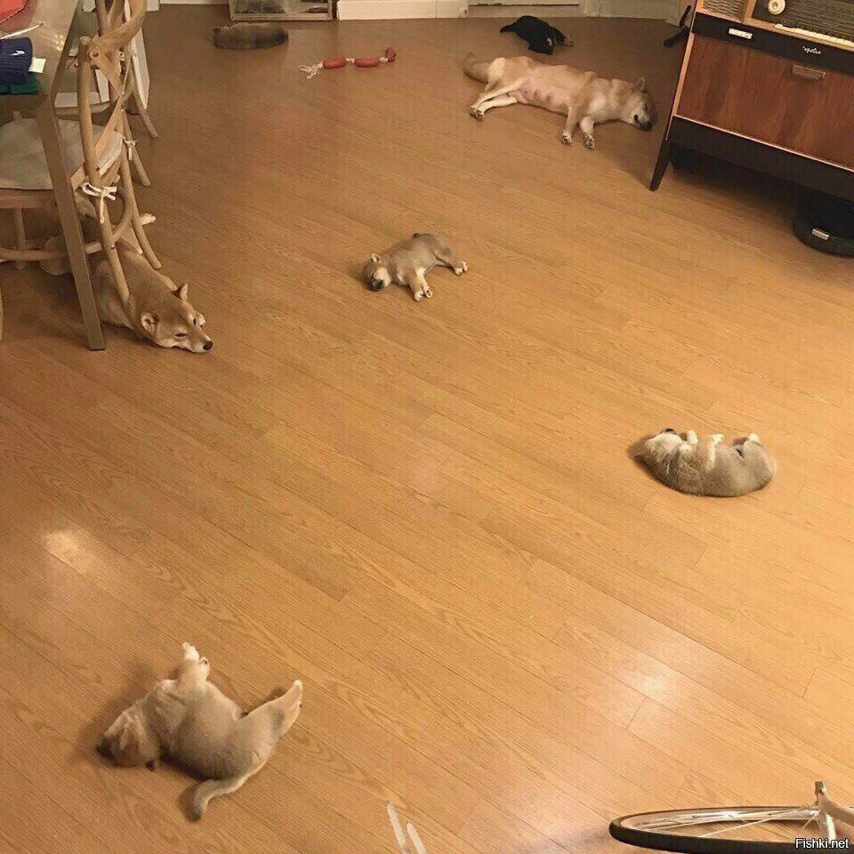 Солянка