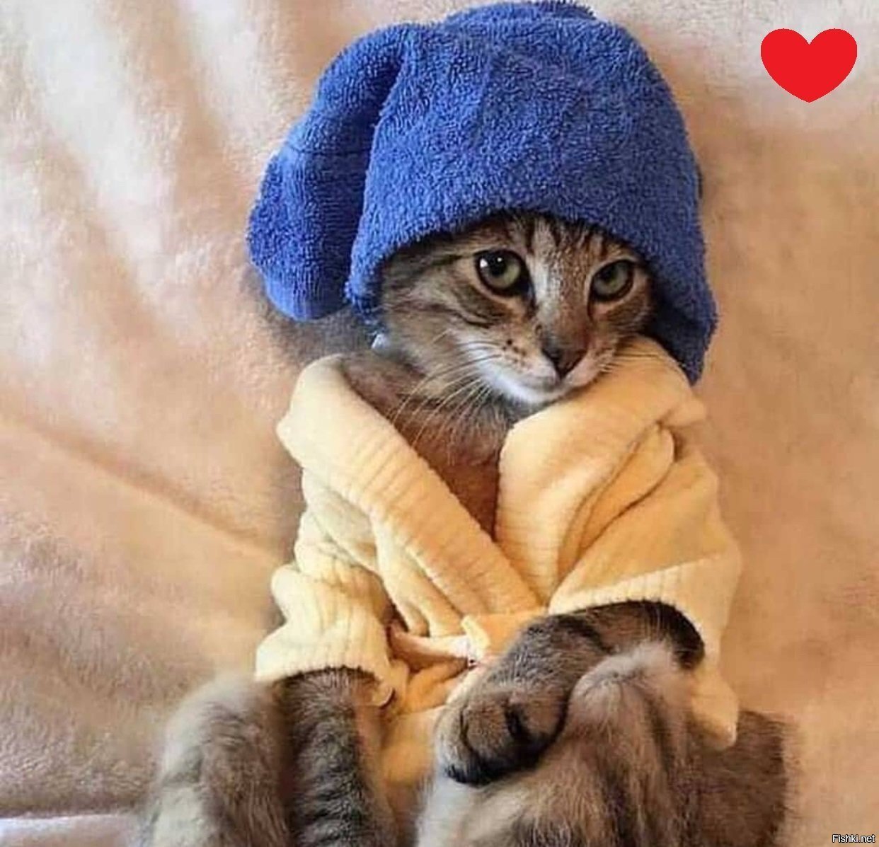 Солянка
