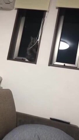 Тактическая задача не выполнима