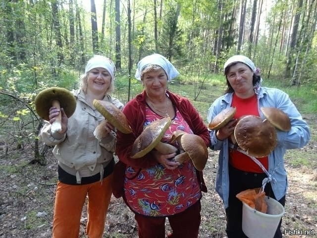 Солянка