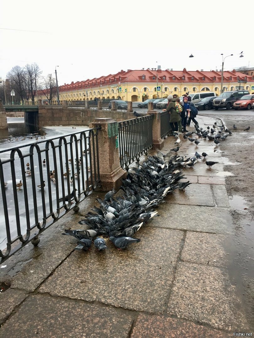 Канал Грибоедова