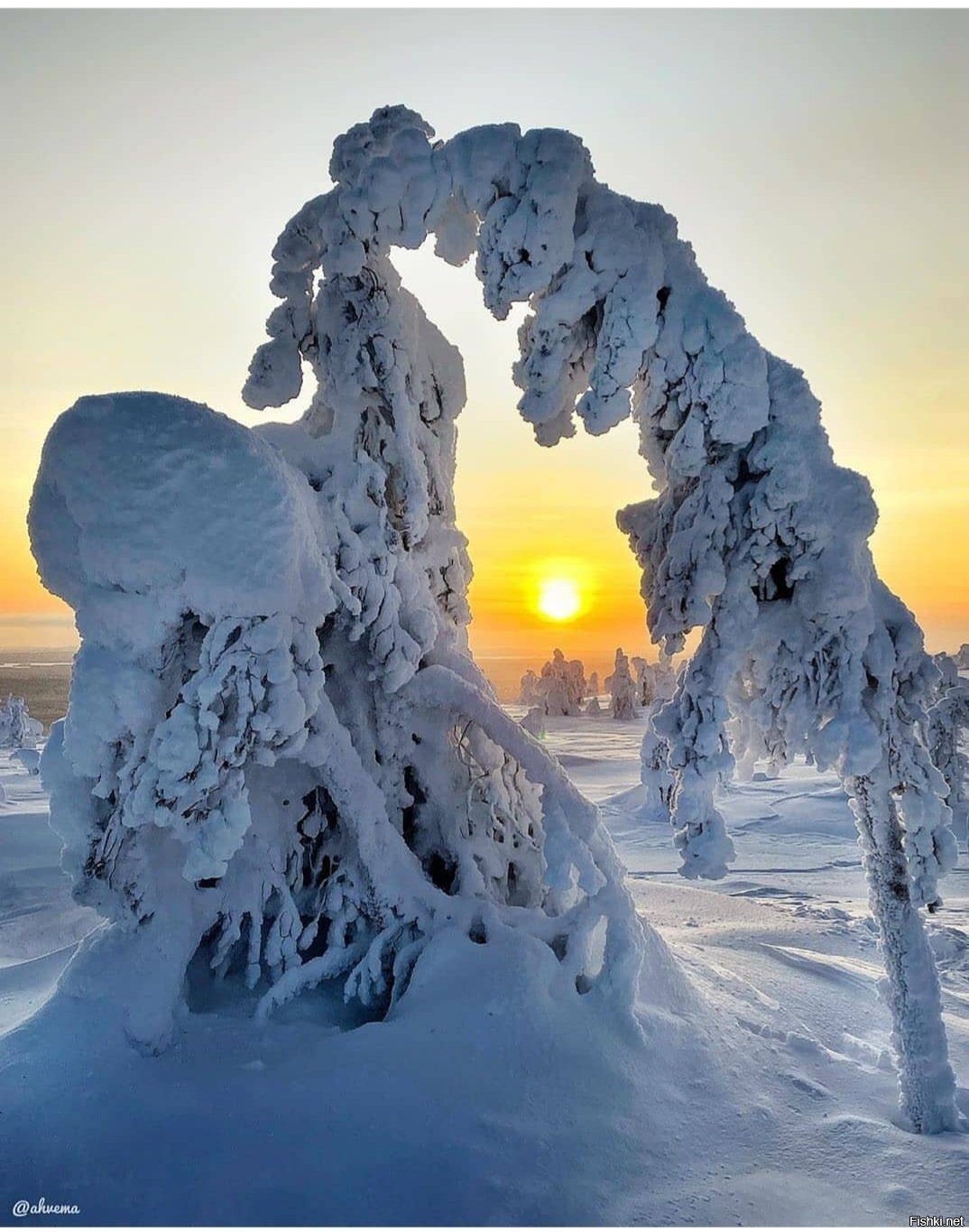 Солянка