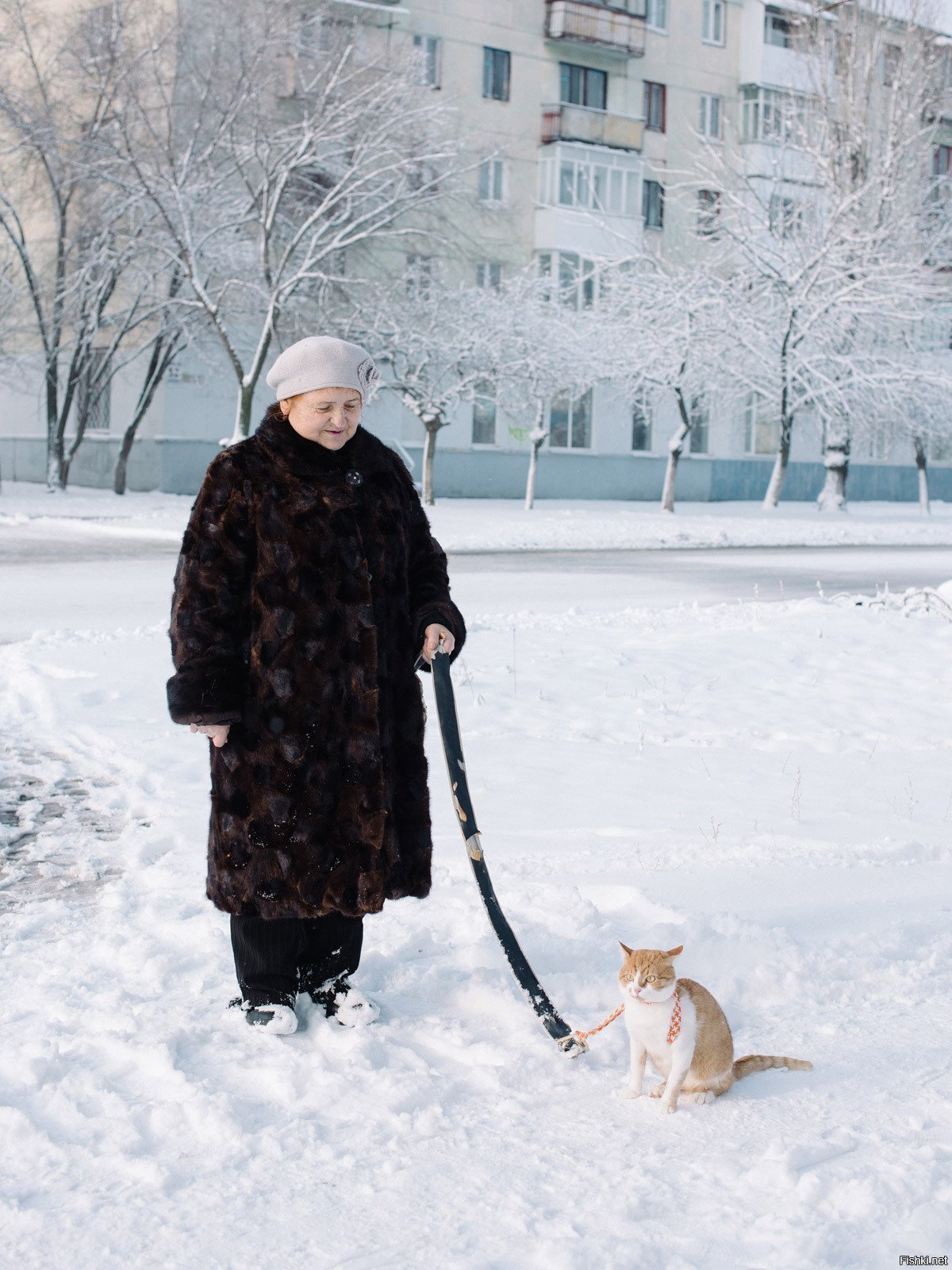 Солянка