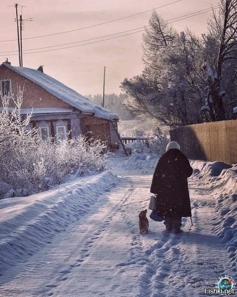 Солянка
