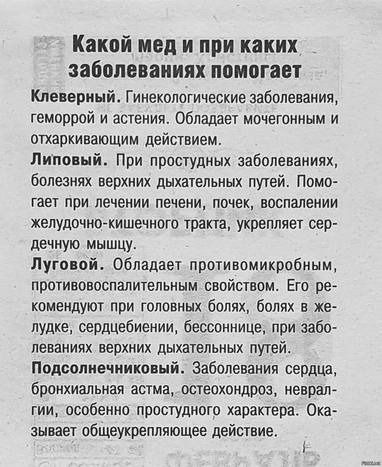 Солянка