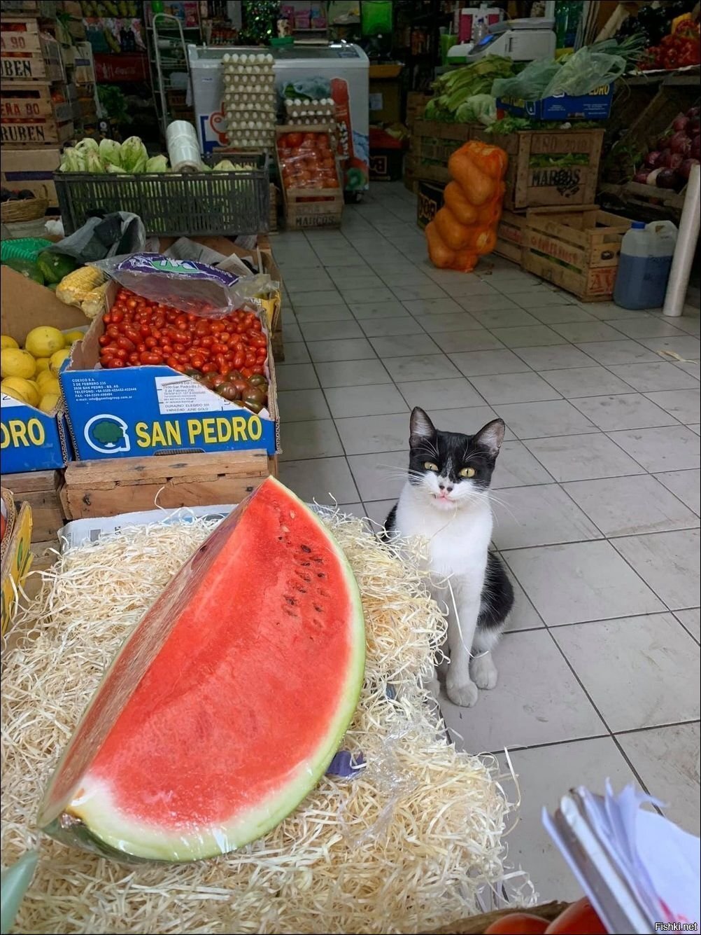 Солянка