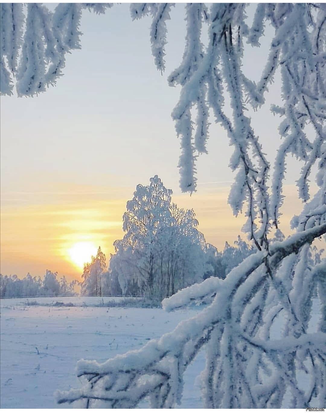 Солянка