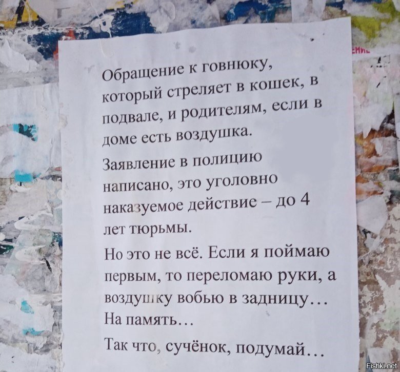 В Новосибе ловят живодера