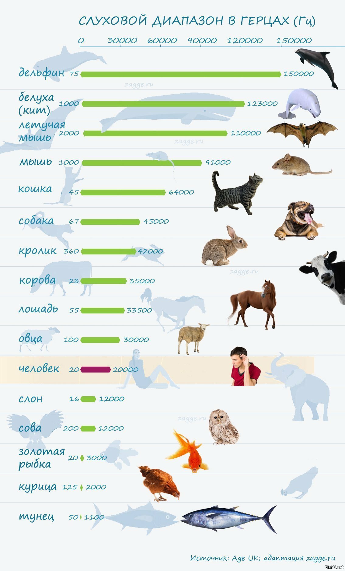 Кто сколько спит и слышит