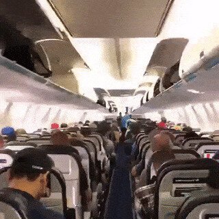 Пассажиры выходят из салона самолёта, Канада