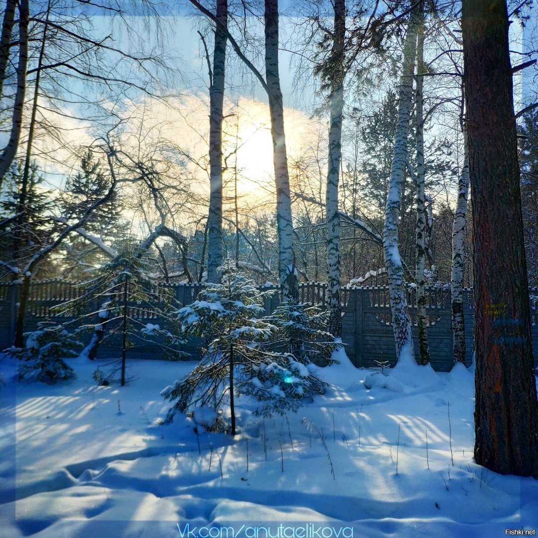 Солянка