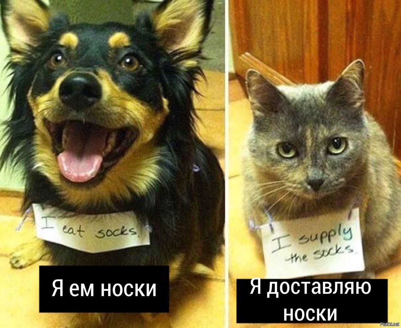 Командная работа