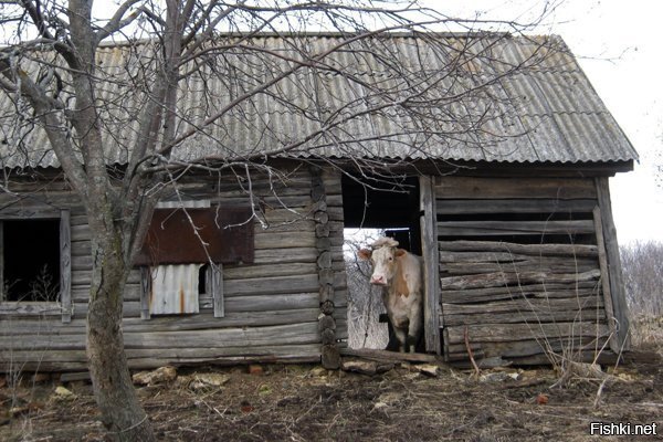 Солянка