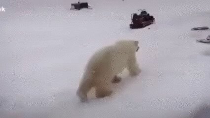 Прям титановые у товарисча
