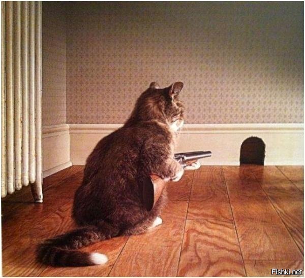 "Я вам не Леопольд