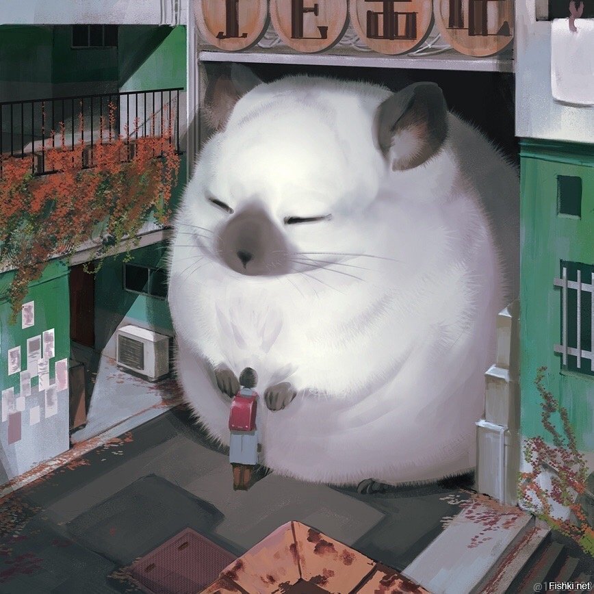 Солянка