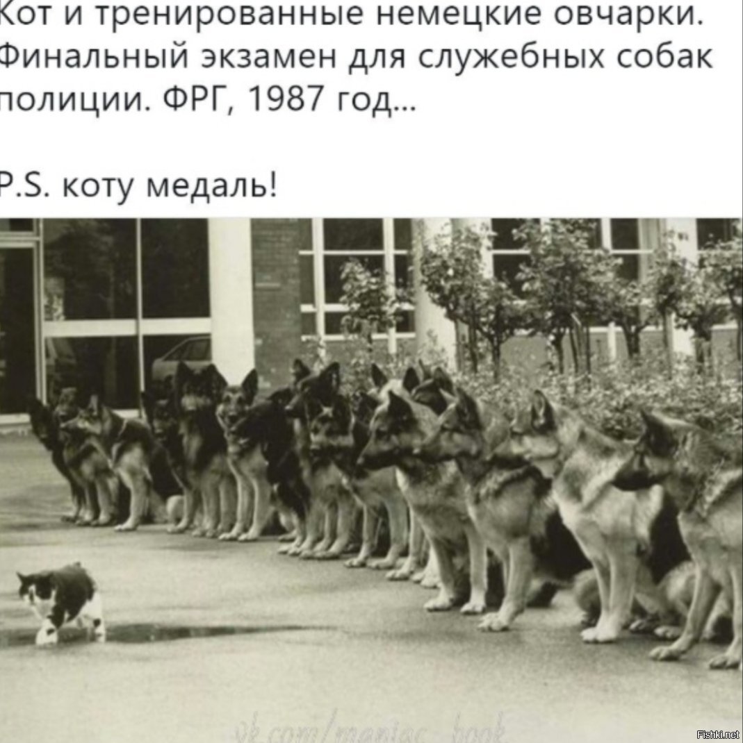 Я в солянке