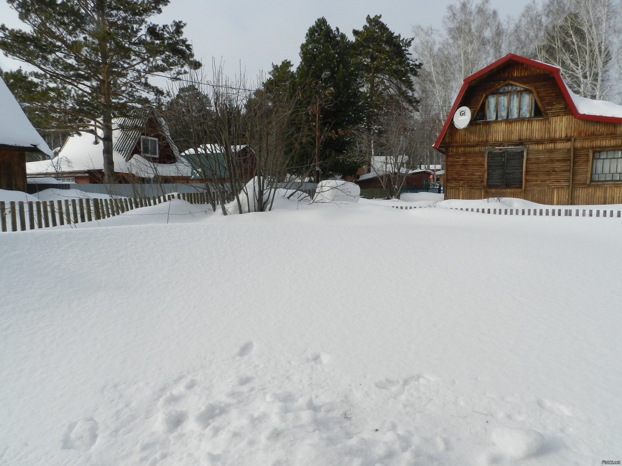 Снега в Сибири в этом году много, метр двадцать минимум