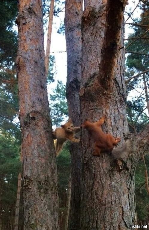 - Там это, мужики за тобой послали