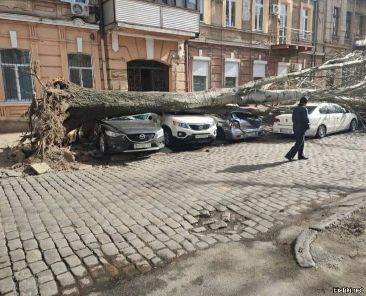 Солянка