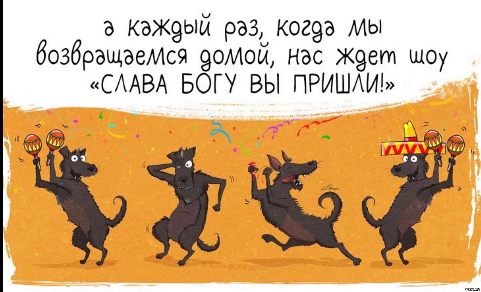 Собачникам )