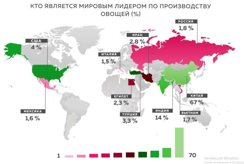 Кто является мировым лидером по производству овощей?