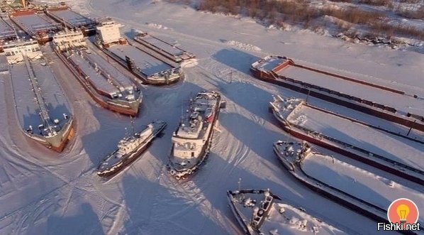 Выморозчики