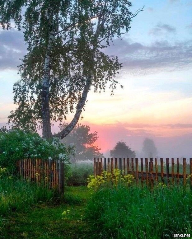Солянка