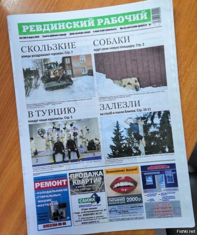Скользкие собаки в Турцию залезли