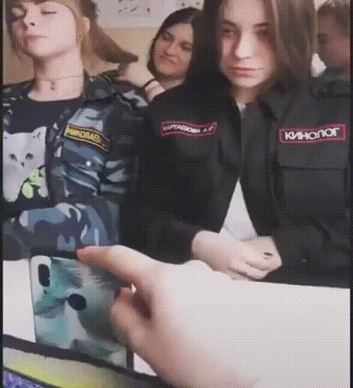 Занятия в школе кинологов