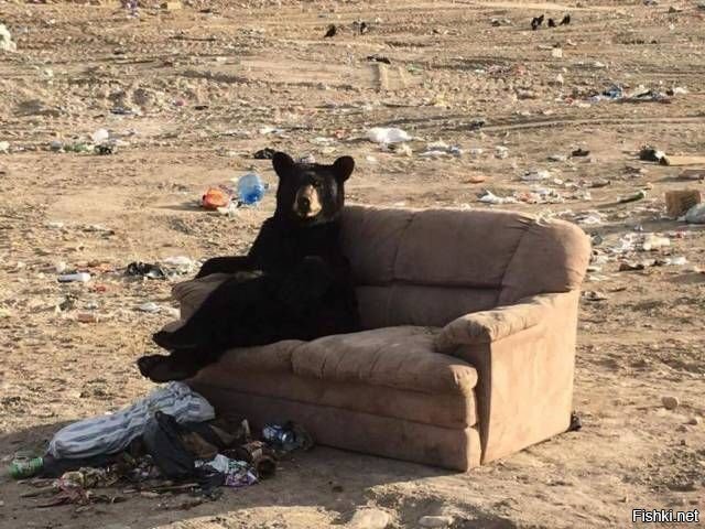 "