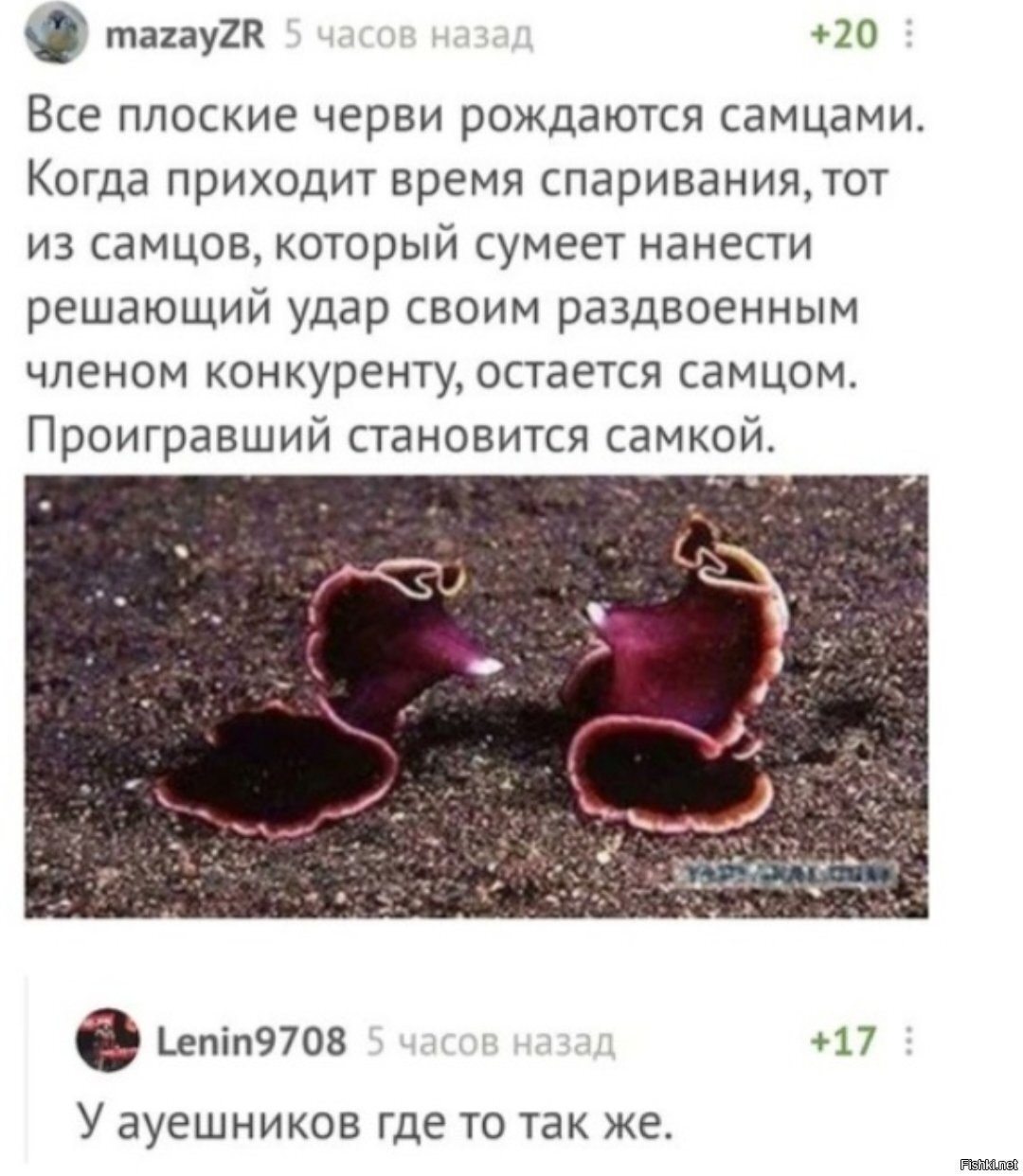 Хоба